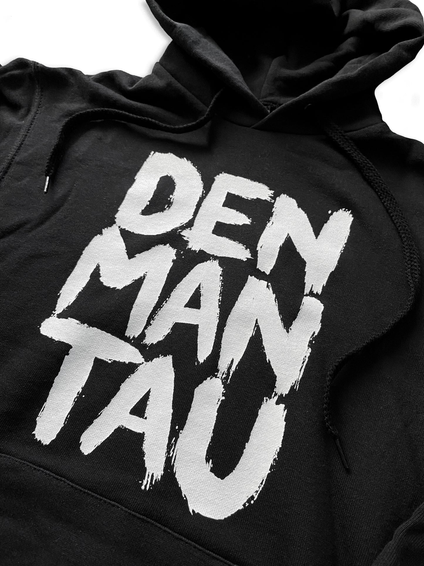 Hoodie "Logo"